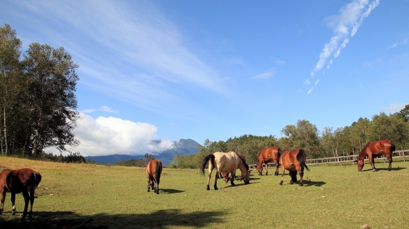 年末年始休業のお知らせイメージ画像
